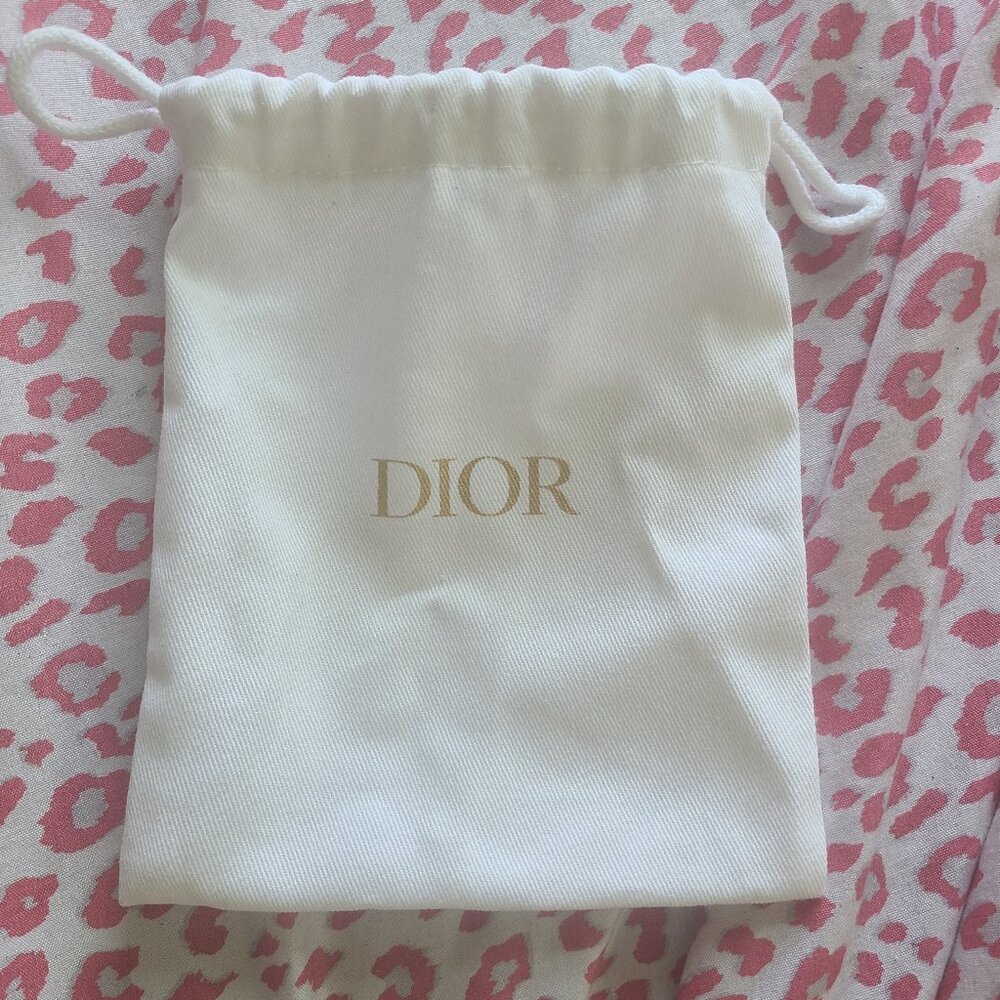 Dior Mini Gift Bag